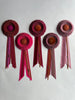 Small Pale Dusty Pink and Rust Rosette