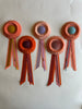 Small Peach & Teal Rosette