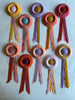Small Peach & Teal Rosette