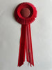 Small Red and Pink Rosette