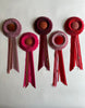 Small Red and Pink Rosette