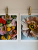 Mixed Colour Poppy Art Print 1