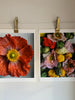 Mixed Colour Poppy Art Print 1