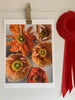 Mixed Colour Poppy Art Print 2