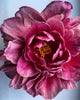 Peony Art Print 2