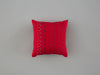 mini-cushion6-front-25x25-skinnywolf-118